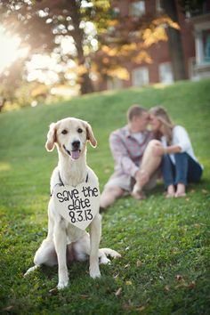 yes-i-do-wedding-pets