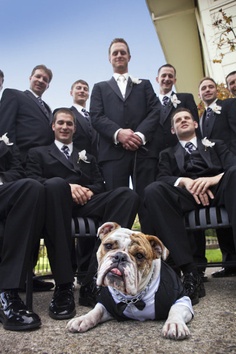 yes-i-do-wedding-pets4