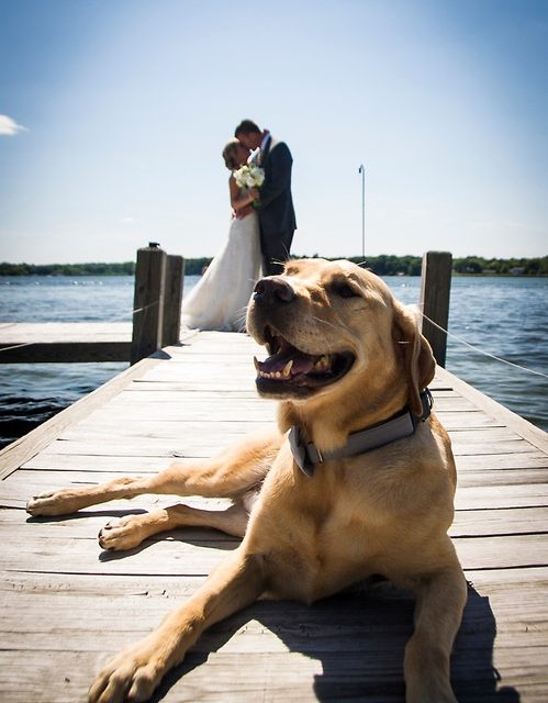 Beach Wedding Ideas