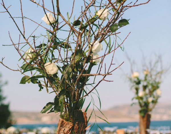 Γιώργος Μοναχός | Chlorofilli Flowers: Tα λουλουδένια μυστικά της νυφικής ανθοδέσμης.