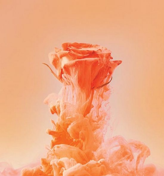 Apricot crush | Το χρώμα που θα πρωταγωνιστήσει στη wedding palette του 2024