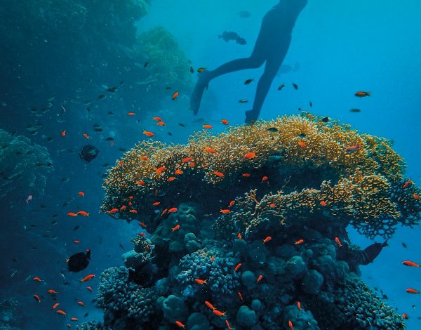 Scuba diving στο ταξίδι του μέλιτος; Ετοιμάστε βαλίτσες για Μπελίζ